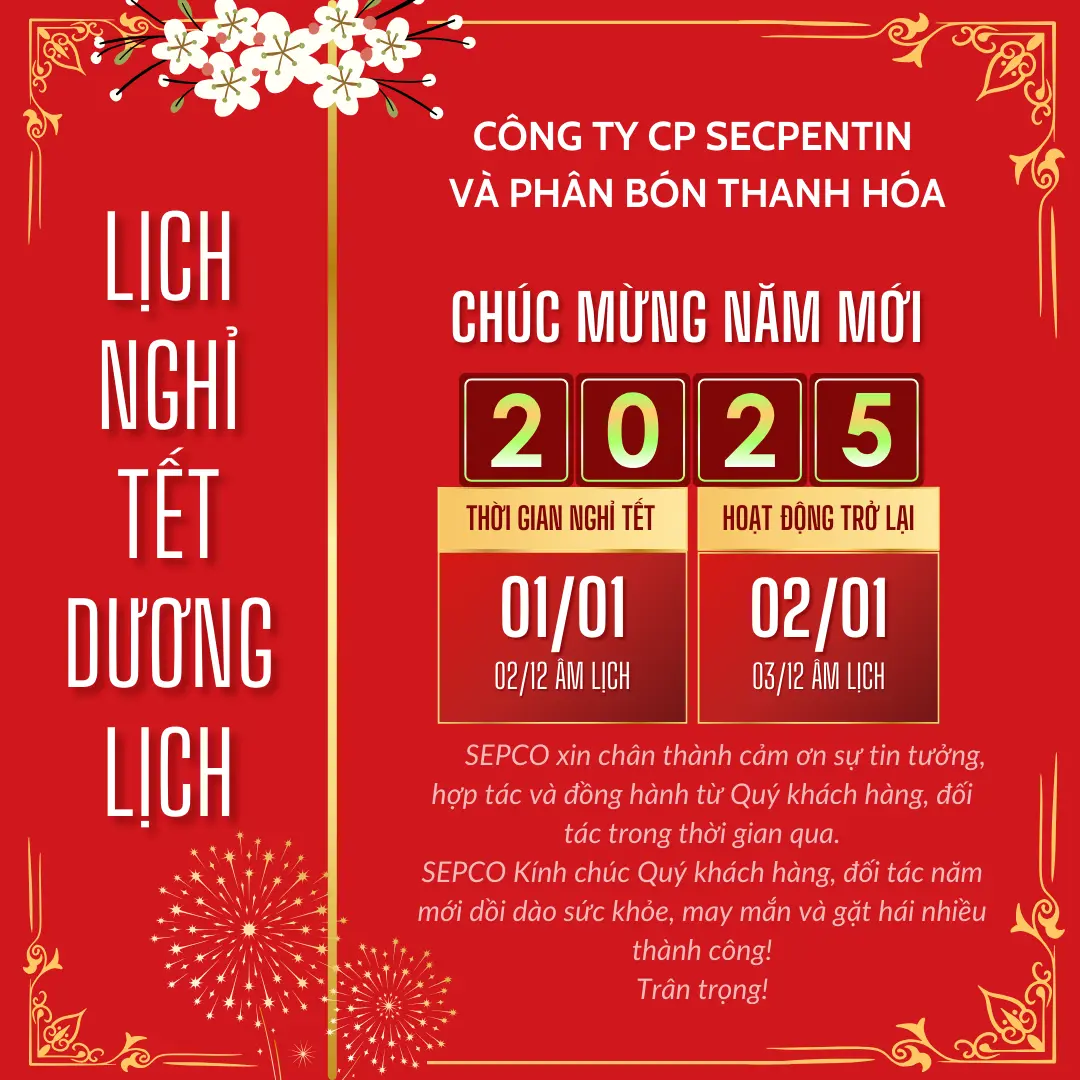 SEPCO thông báo nghỉ Tết dương lịch năm 2025